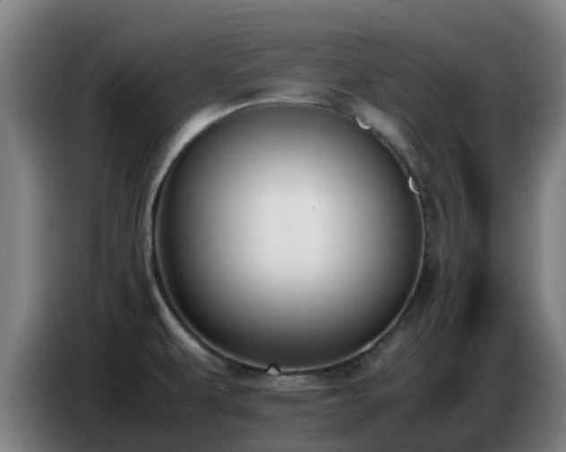 X0000086721479200704201617
