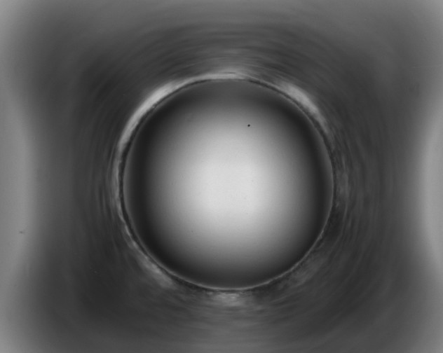 X0000086721480200704201617