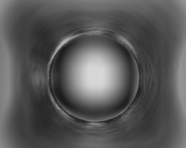 X0000086721483200704201617