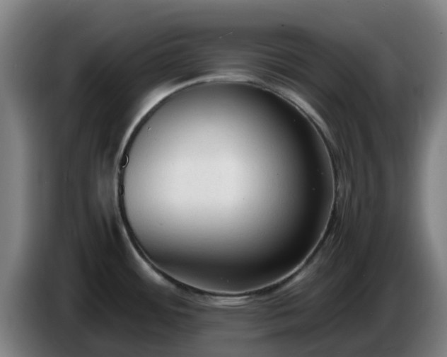 X0000086721484200704201617