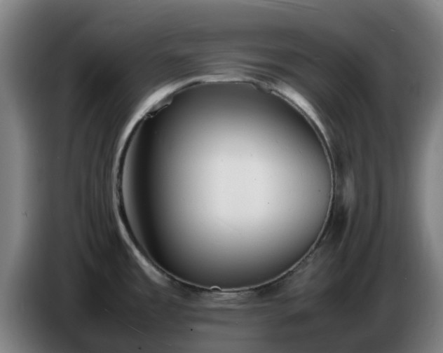 X0000086721485200704201617