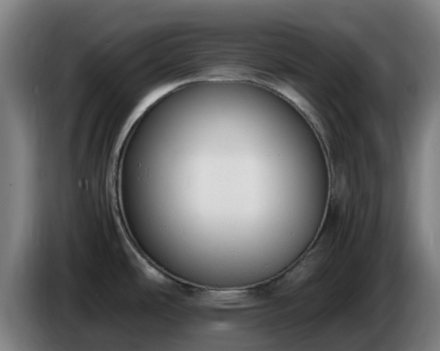 X0000086721486200704201617