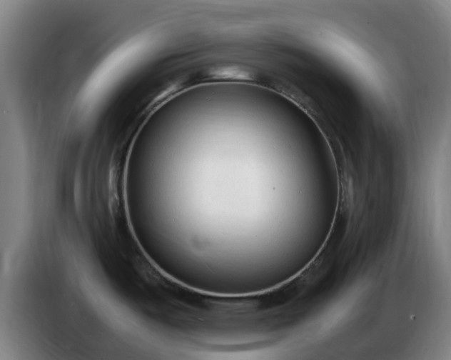 X0000086721487200704201617
