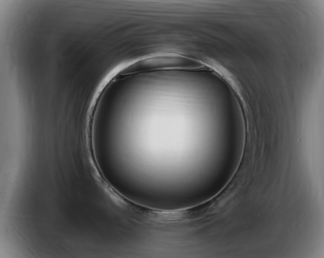 X0000086721488200704201617