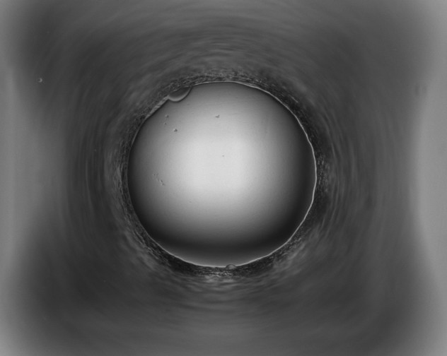X0000086721489200704201616