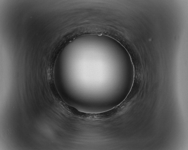 X0000086721490200704201616