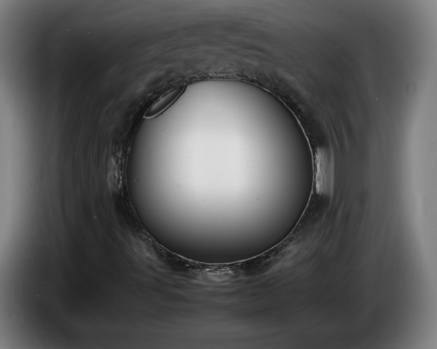X0000086721491200704201616