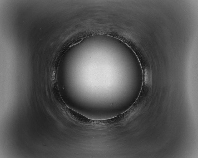 X0000086721492200704201616