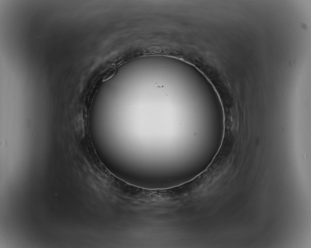X0000086721493200704201616