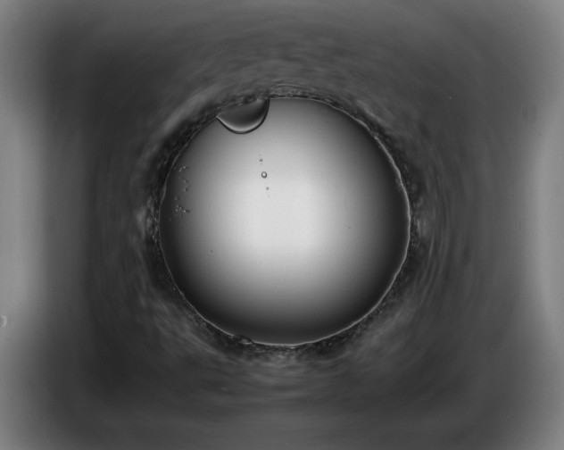 X0000086721495200704201616
