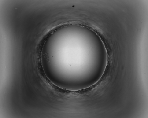 X0000086721496200704201616