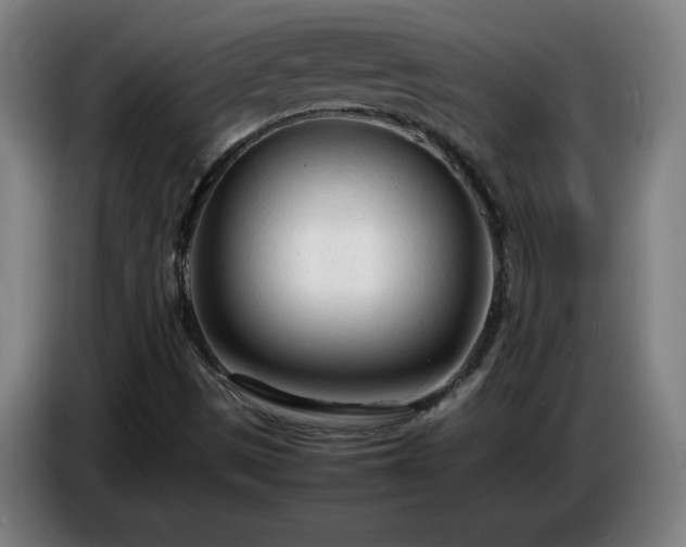 X0000086721497200704201616