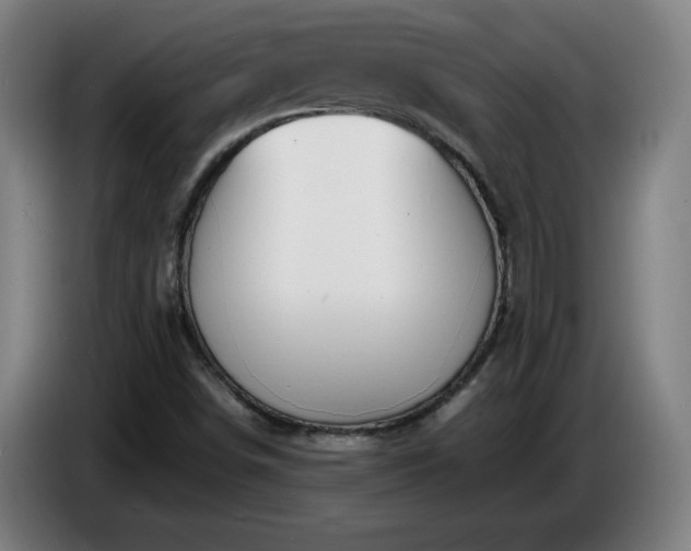 X0000086721498200704201616