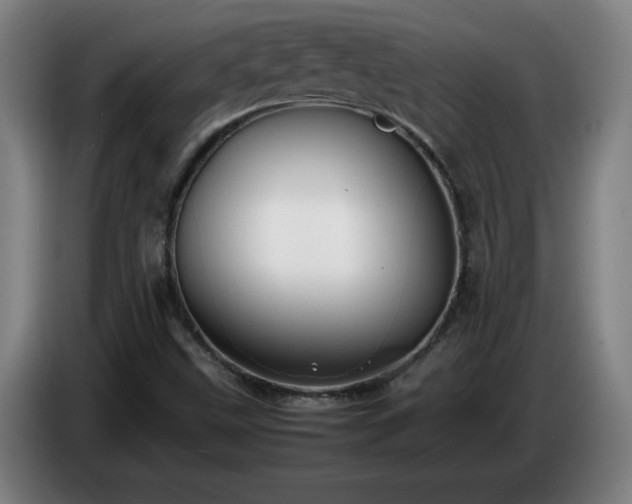 X0000086721499200704201616