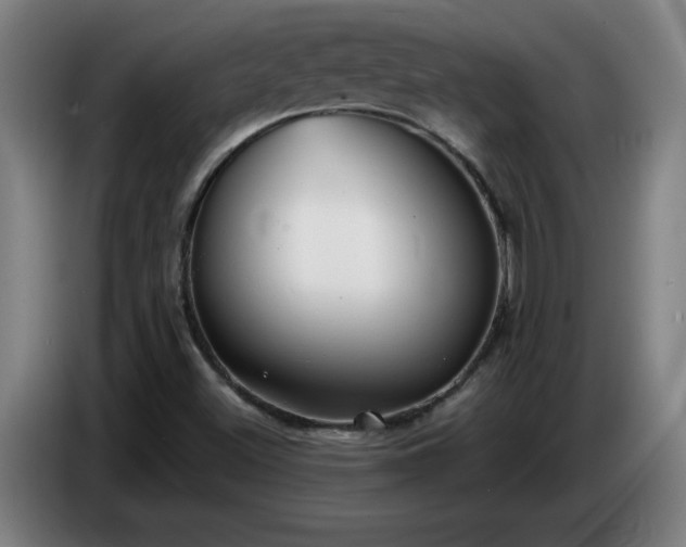 X0000086721500200704201616