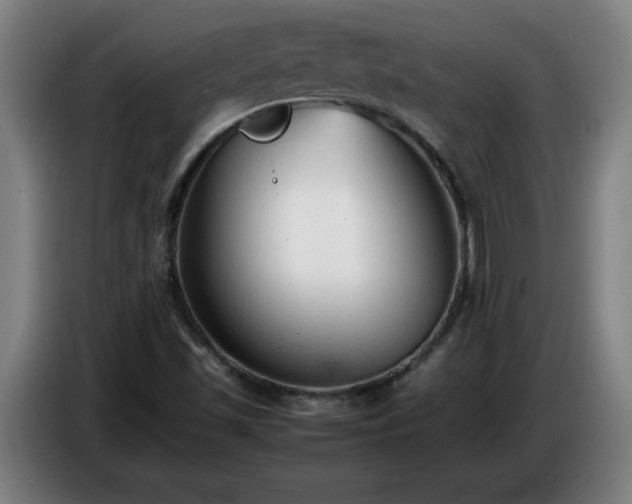 X0000086721501200704201616