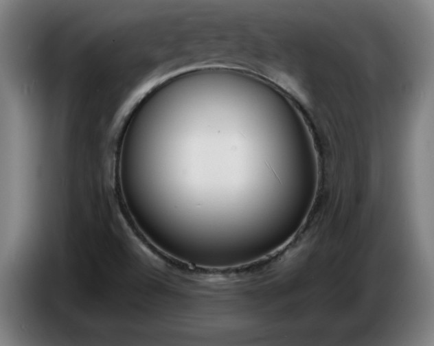 X0000086721504200704201616