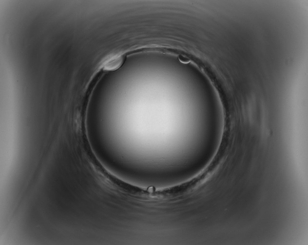 X0000086721505200704201616