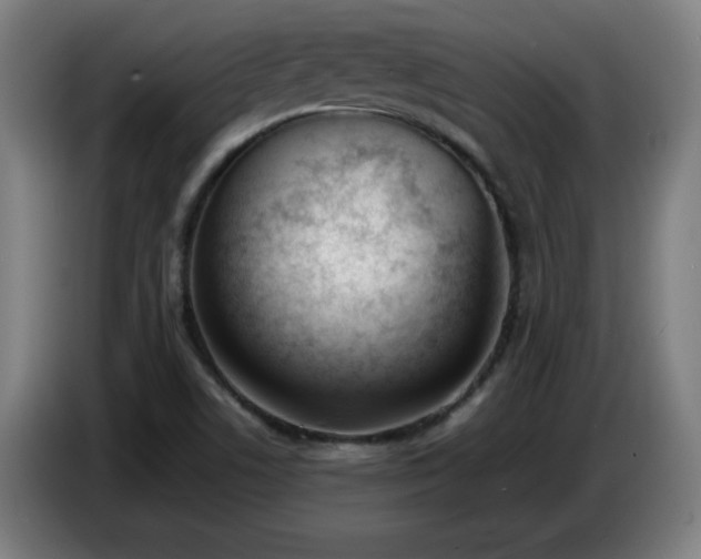 X0000086721506200704201616