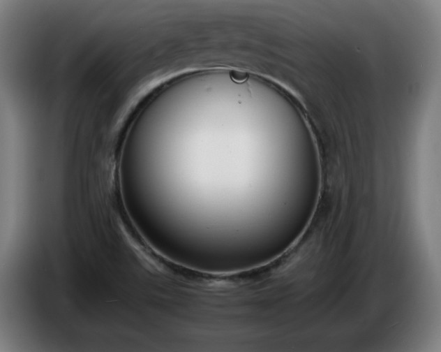 X0000086721507200704201616