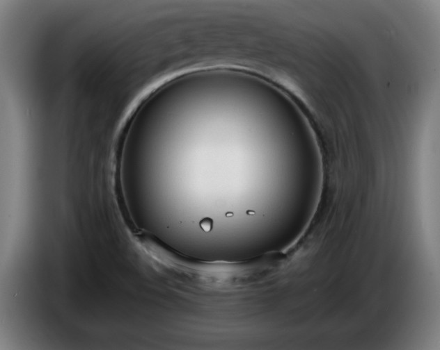 X0000086721508200704201616