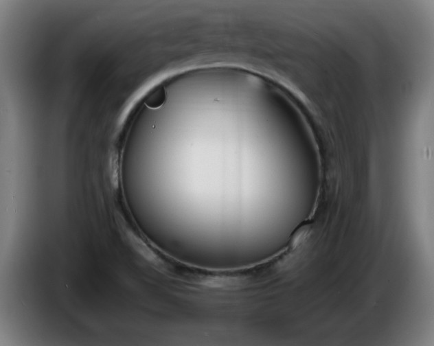 X0000086721510200704201616