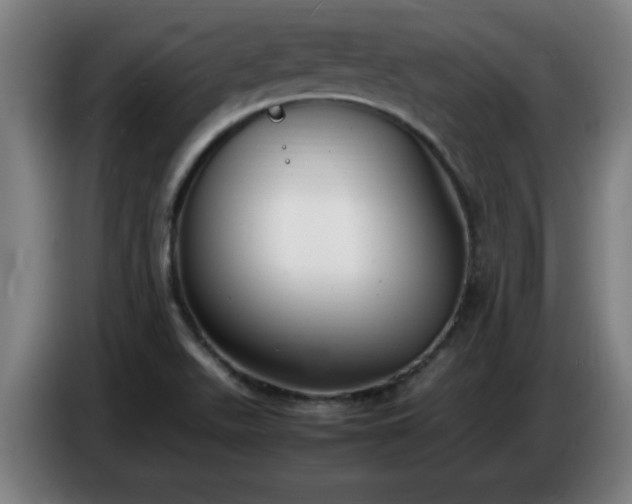 X0000086721511200704201616