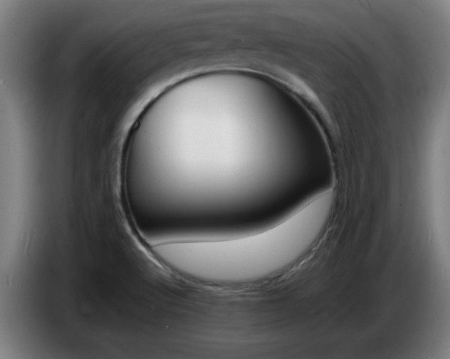 X0000086721512200704201616