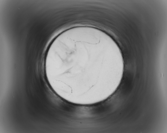 X0000086721514200704201616