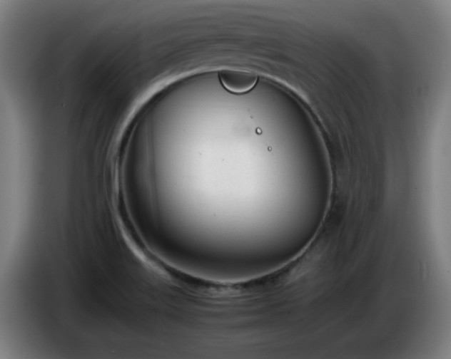 X0000086721515200704201616