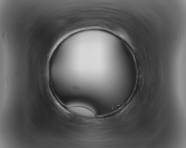 X0000086721516200704201616
