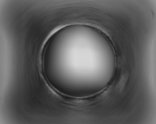 X0000086721517200704201616