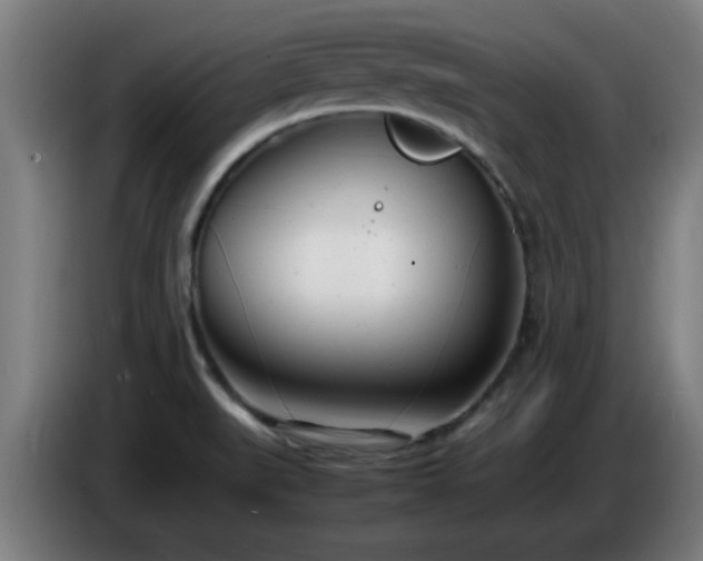X0000086721519200704201616