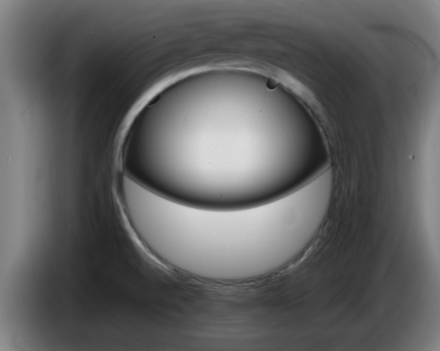 X0000086721520200704201616