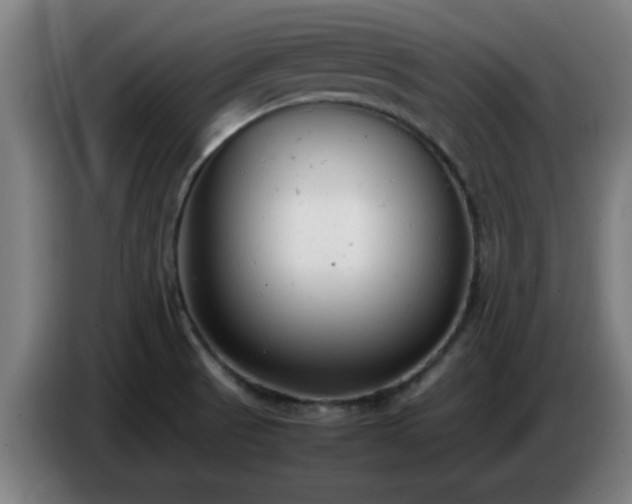 X0000086721521200704201616