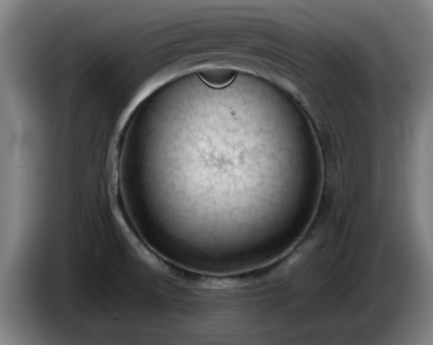 X0000086721522200704201616