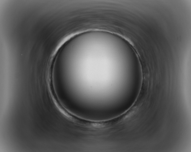 X0000086721523200704201616