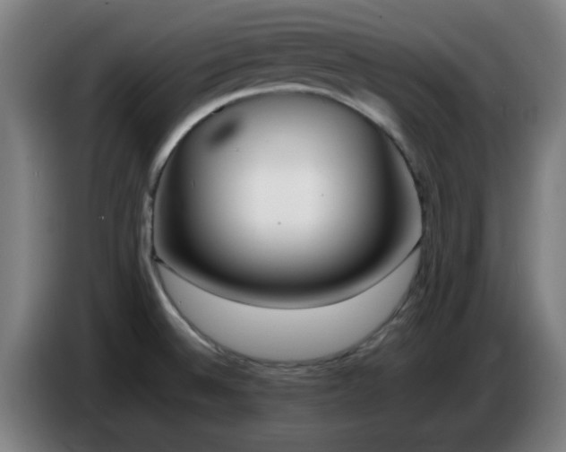 X0000086721524200704201616