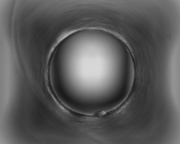 X0000086721525200704201616