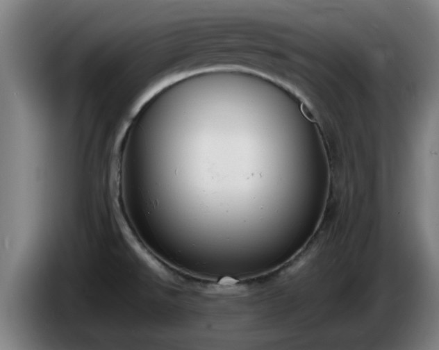 X0000086721526200704201616