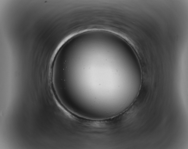 X0000086721527200704201616