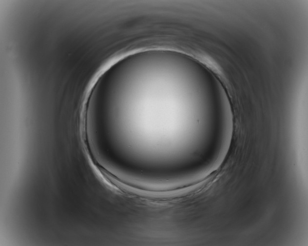 X0000086721528200704201616