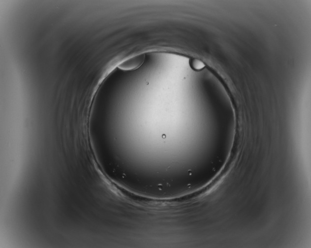 X0000086721529200704201616