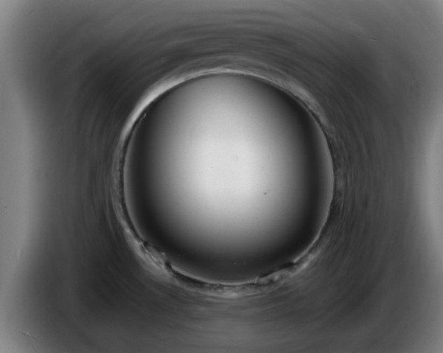X0000086721530200704201616