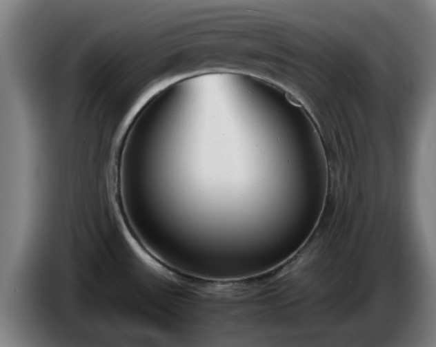 X0000086721531200704201617