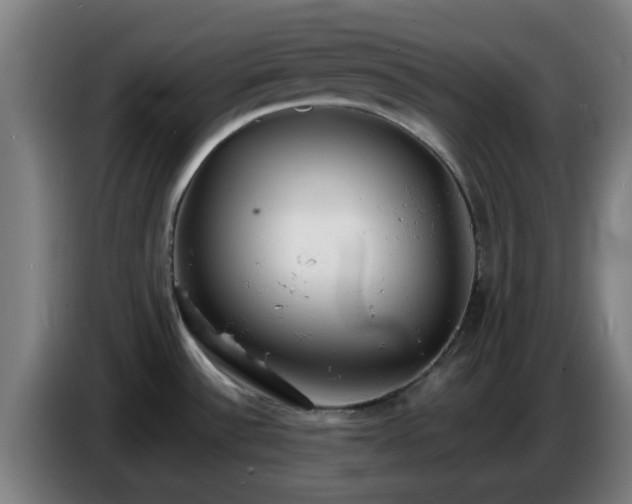 X0000086721532200704201617