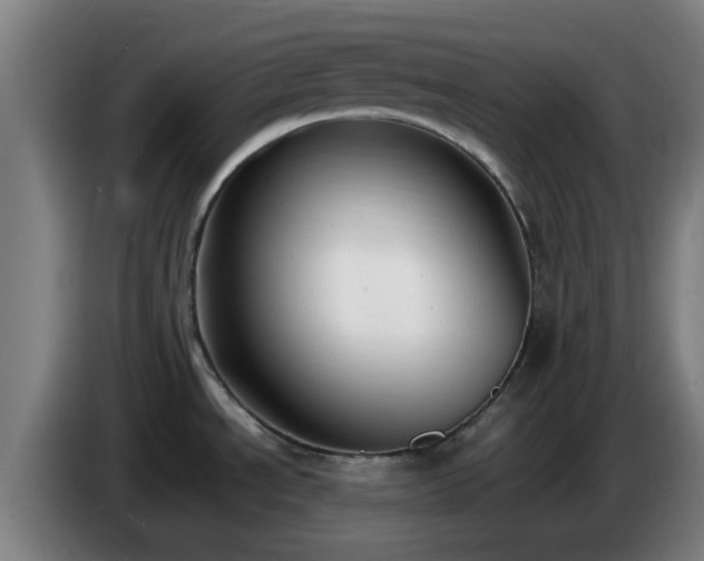 X0000086721534200704201617