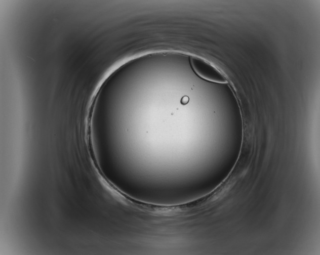 X0000086721535200704201617