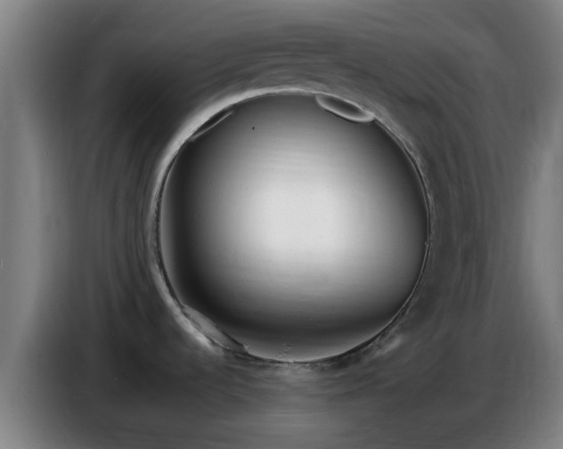 X0000086721536200704201617