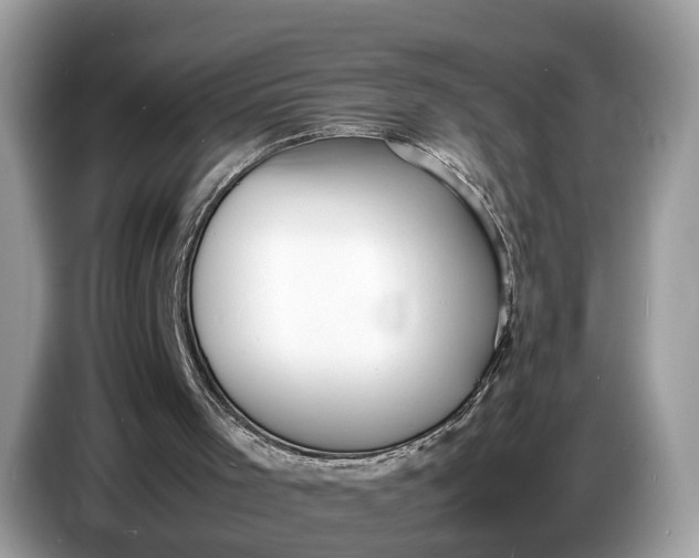 X0000086720001200704271620